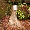 Drainaway